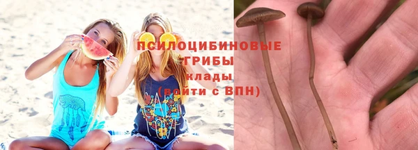 дживик Алексин