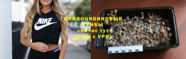 PSILOCYBIN Покров