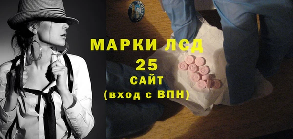 PSILOCYBIN Покров