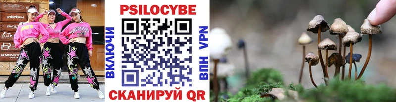 Псилоцибиновые грибы Cubensis  Железноводск 